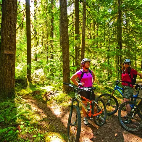 Impacts of Mountain Bike Tourism in Oakridge OR IMBA